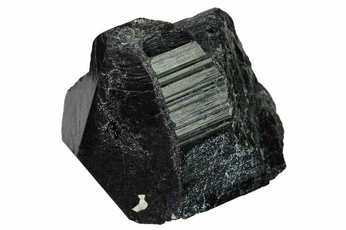 Terminated Black Tourmaline (Schorl) Crystal - Madagascar #172192